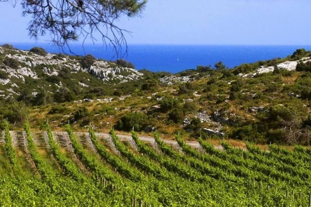 Entre Mer Et Garrigue Saint-Pierre-la-Mer  Exterior photo