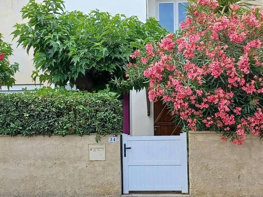 Entre Mer Et Garrigue Saint-Pierre-la-Mer  Exterior photo